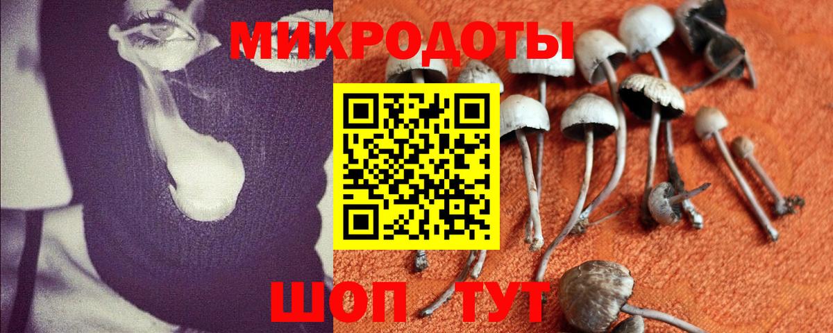 Псилоцибиновые грибы мухоморы Губкинский