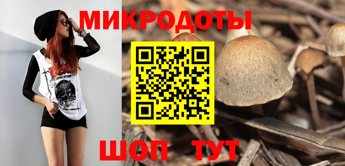 Галлюциногенные грибы ЛСД  Вход с VPN  Галлюциногенные грибы Magic Shrooms  Губкинский 